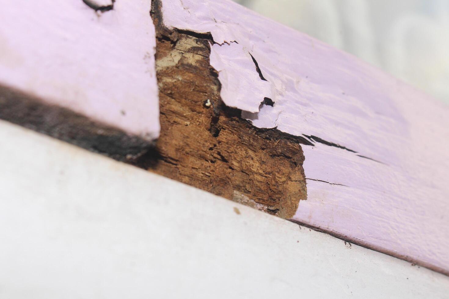 Deck Repairs