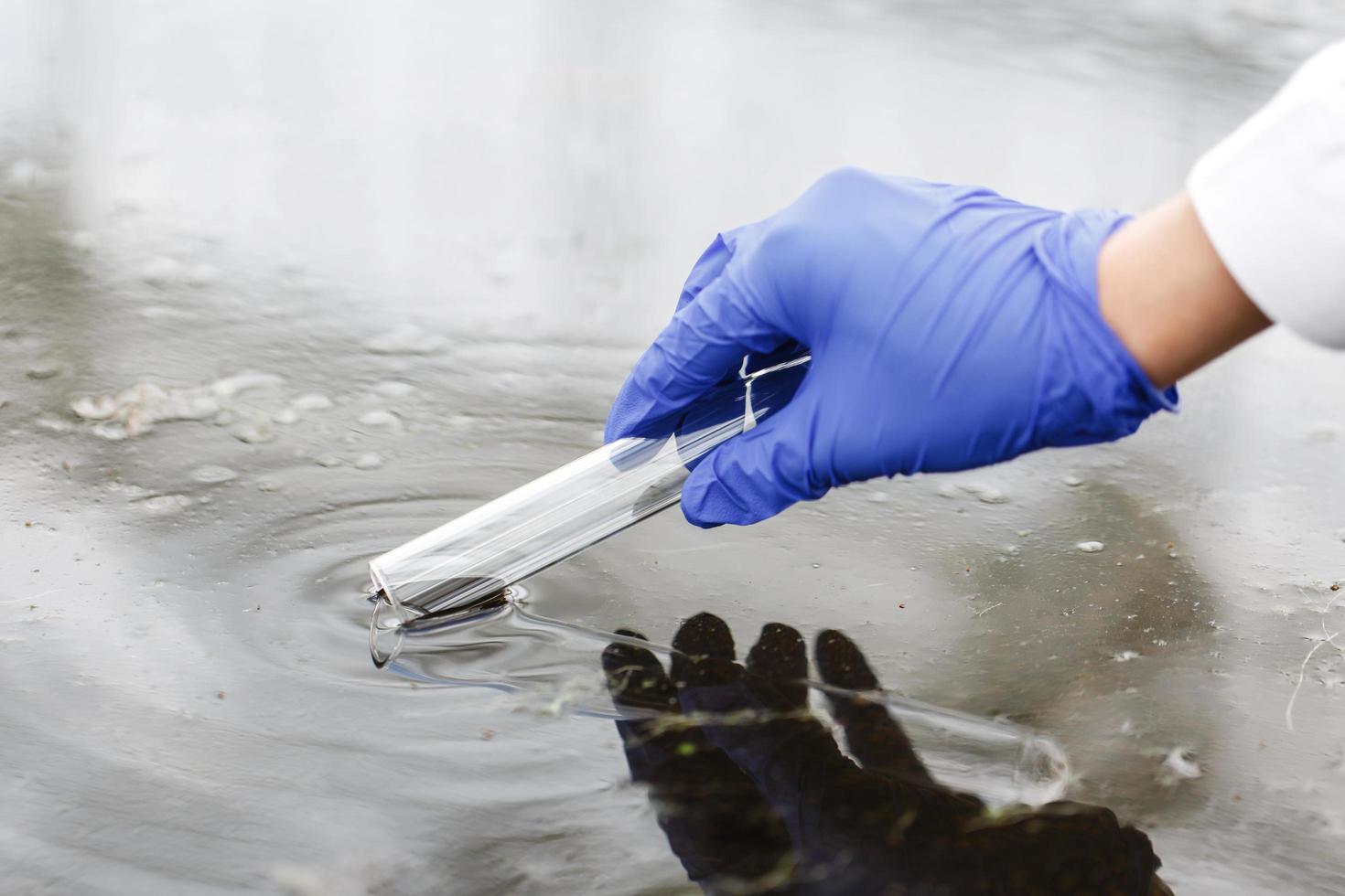 Enzyme Treatments