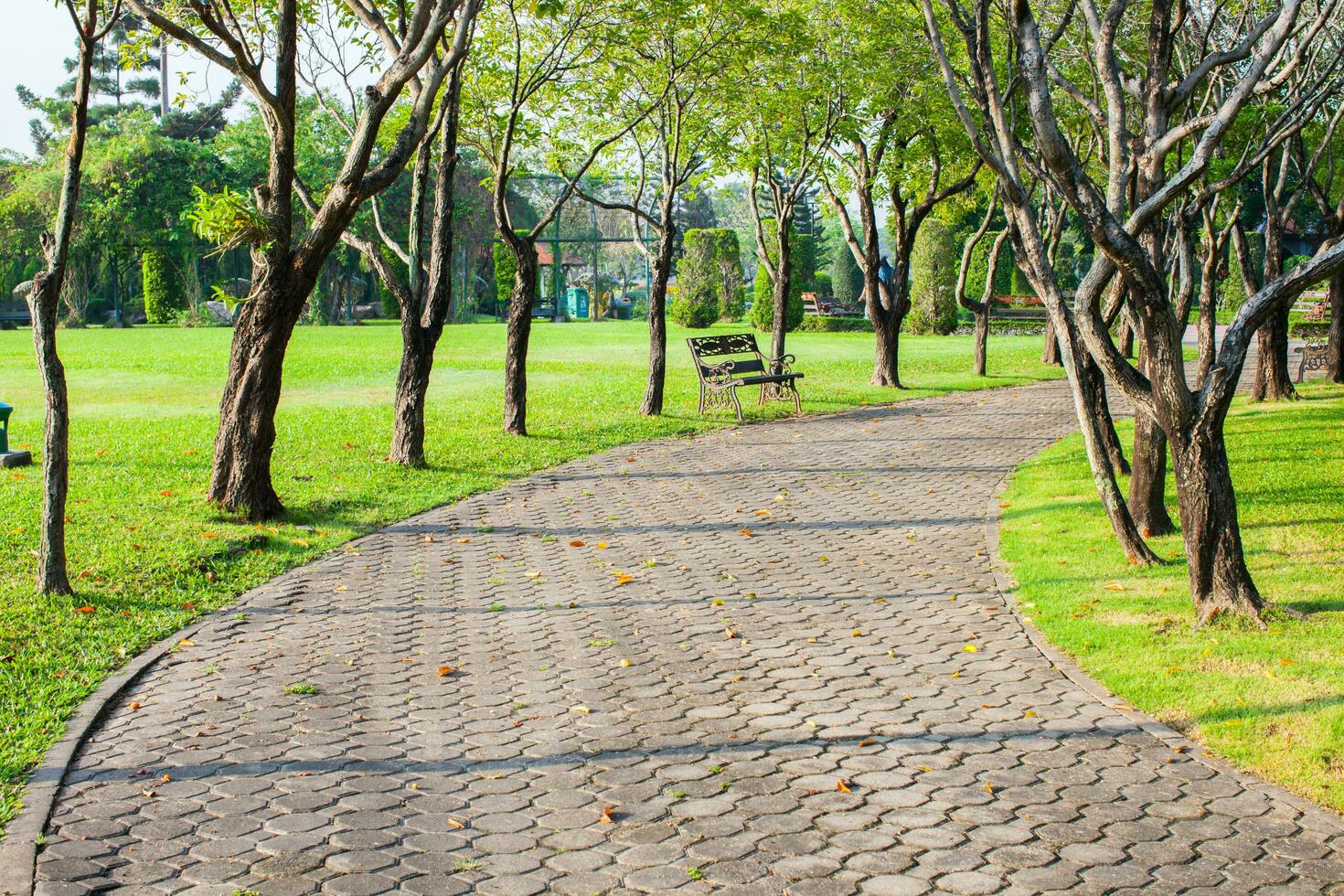 Public Parks